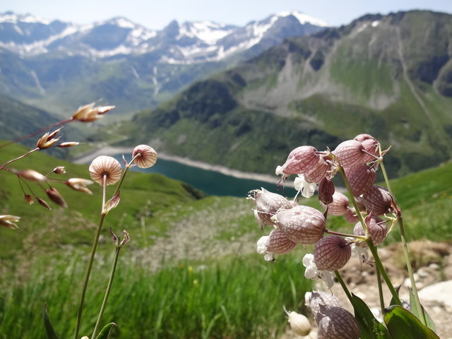 Diese tolle Landschaft hat Regionaut Alois Kinz mit seiner Kamera festgehalten. Schicken auch Sie uns ihr schönstes Urlaubsfoto aus Österreich! | Foto: Alois Kinz