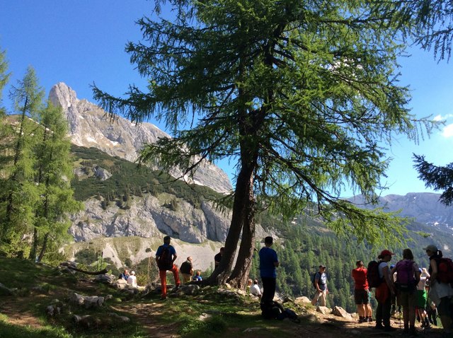 Auf der Tauplitzalm - dem größten Seehochplateau - bist du ganz selten allein.