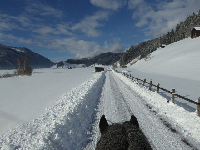 Der Weg ist das Ziel...