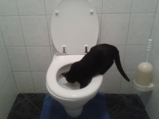 Ohne Worte! ^^