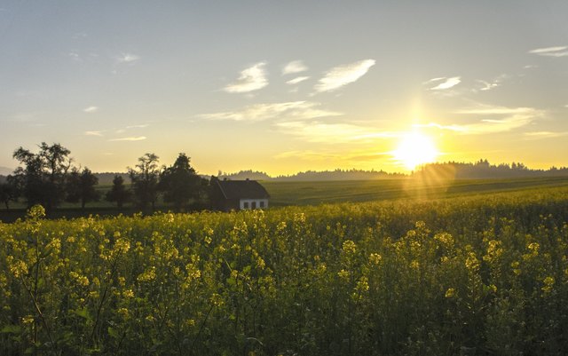 Tolle Abendstimmung. Blick von der Friedhofsmauer in Richtung Hamet. | Foto: Privat