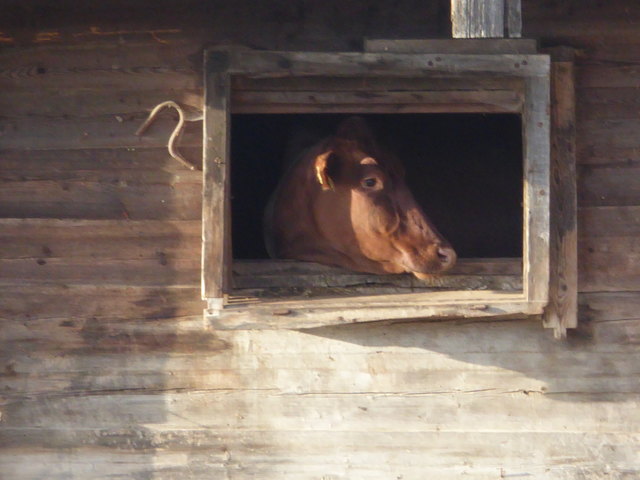 Wo bleibt denn der Bauer??