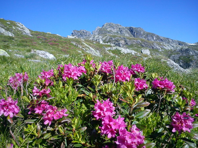 Sommer in den Schladminger Tauern