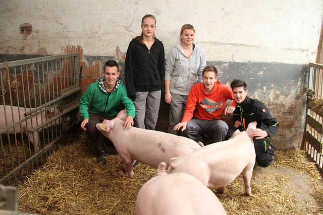 Auf Tuchfühlung mit den Schweinen: Thomas Freiler, Christina Spuller, Irina Dünser, Christian Kleinrath und Daniel Groiss (v.l.). | Foto: Jürgen Mück