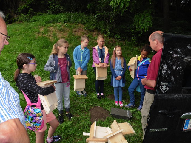 Mit Vorurteilen gegenüber der heimischen Fledermaus wurde in Aigen gründlich aufgeräumt. | Foto: KK