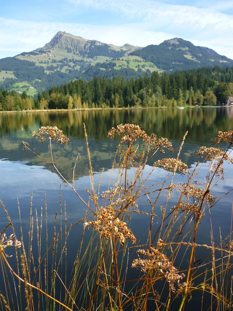 Schwarzsee Tirol