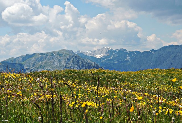 Auf dem Weg zur Göriacheralm in der Steiermark