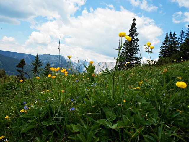 Auf dem Weg zur Göriacheralm in der Steiermark