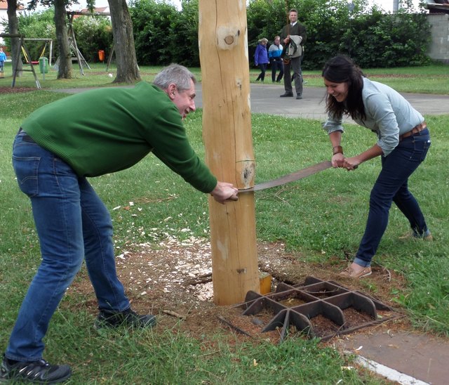 BR Martin Preineder und GR Manuela Prohaska machen den ersten Schnitt in den Maibaum.