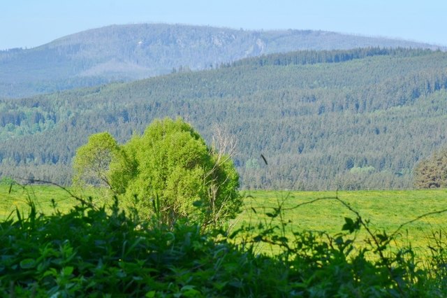 Der Plöckenstein (1.378 m) von der tschechischen Seite gesehen.