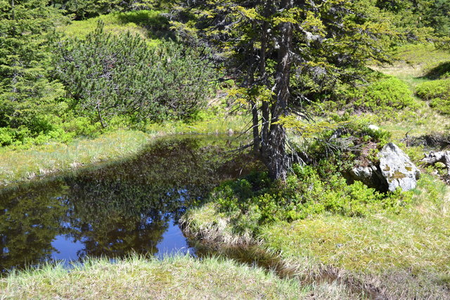 Hochmoor im Rauriser Urwald