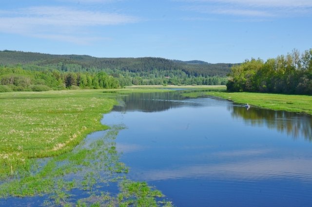 Die Moldau bei Novo Pec. Hier beginnt der (42 Km lange) Lipno-Stausee.