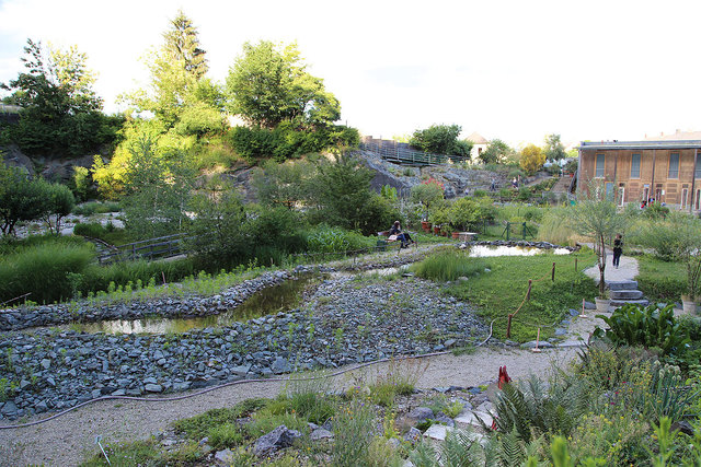 Sommerfest der Museen im Kärntner Botanikzentrum (Botanischer Garten
