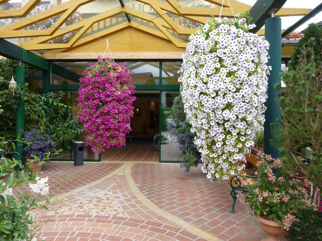 Hier baumelt nicht nur die Seele.Blütenpracht im Molzbachhof.