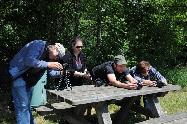 Alle Kameras schußbereit !