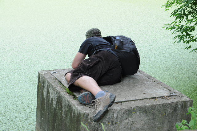 Harry in Position :-)