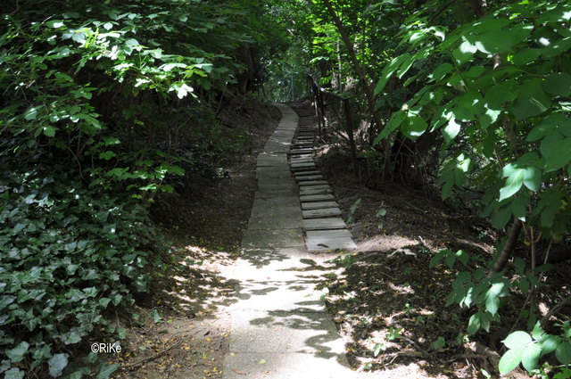 Der Weg ins Nirgendwo