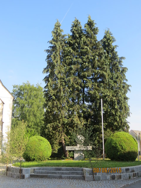Kriegerdenkmal alt