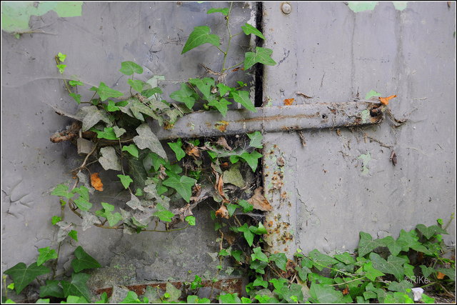 Hier war schon lange keiner mehr drinnen