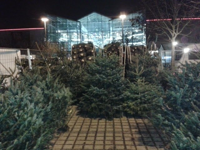 FotoQuelle: Weihnachtsbaumzentrale - Eigenbildwerk - Horst Niesner - 2014