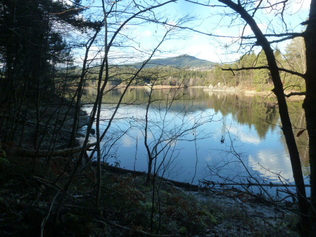 Idylle pur - am Forstsee