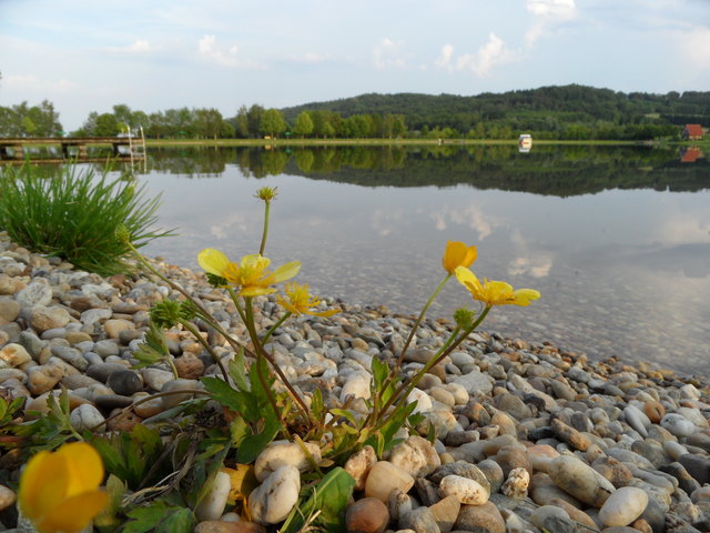 "Badesee Rauchwart- Bgld."