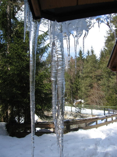 Am Forstsee - Kärnten