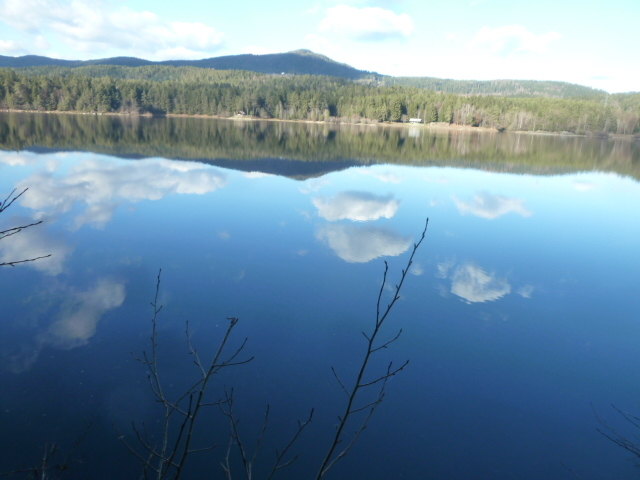 Sooo schön ist es am Forstsee
