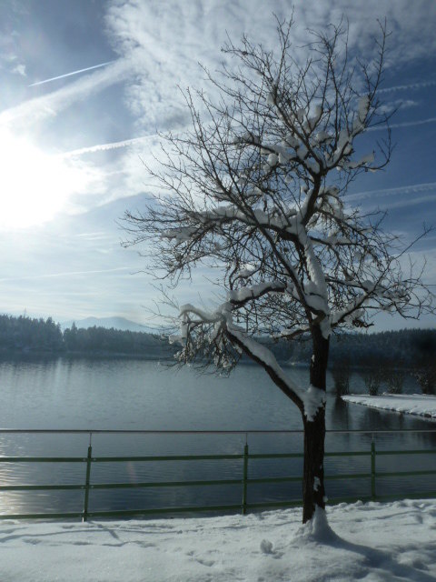 Winterlicher Forstsee-Kärnten