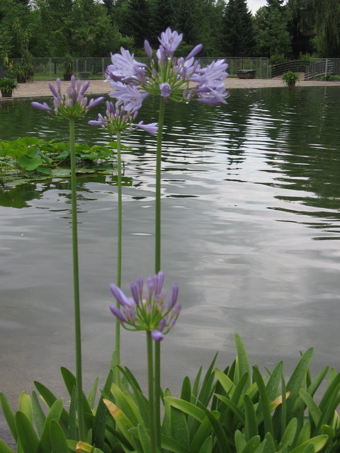 See im Europapark in Klagenfurt