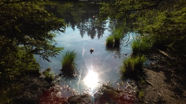 Ein sonniger Morgen am Lanser Moor bei Innsbruck