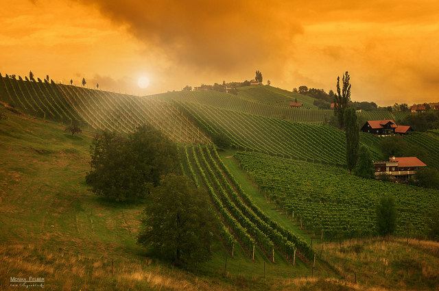 "Steirische Toskana" .... entlang der südsteirischen Weinstraße