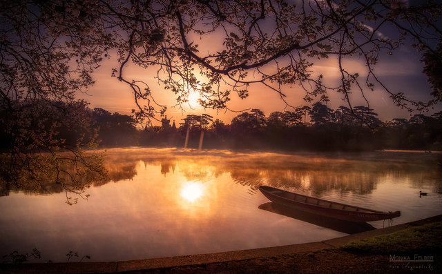 Schlosspark Laxenburg - Früh morgens, wenn die Silbernebel ziehen
