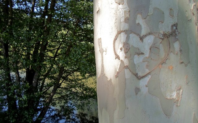 Herzensbotschaften am Stubenbergsee