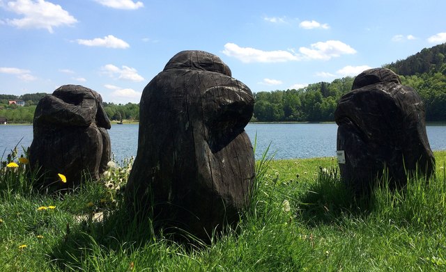 Sterngucker am Stubenbergsee