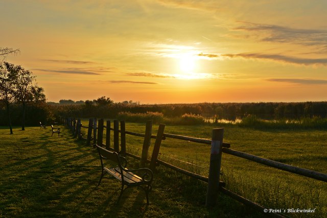 Morgens am Vierwaldstättersee...