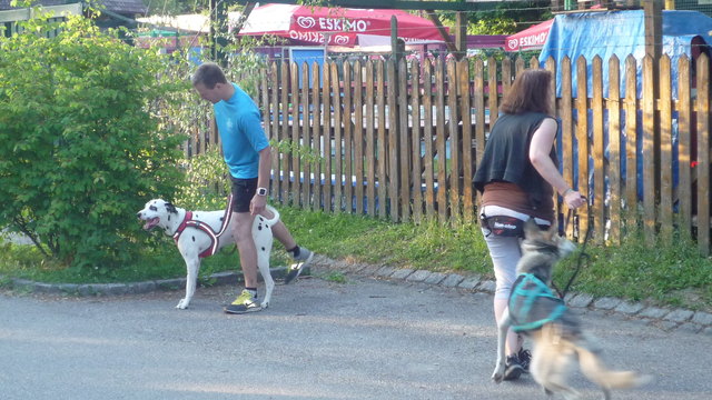 die Aufregung steigt © SpeedRunners.at