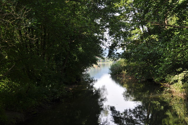 Die Tiebelmündung ist ein ESG Natura 2000 Gebiet, in dem viele geschützte Arten leben | Foto: Friessnegg