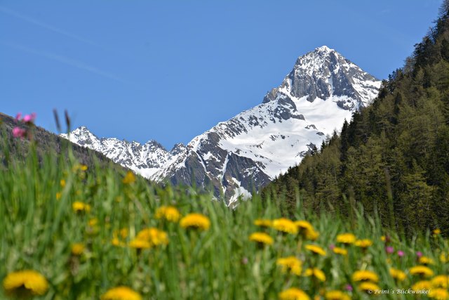 am Fuße des Großglockners