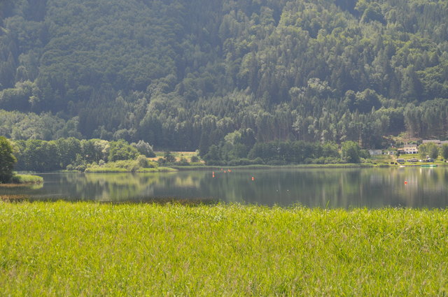 Mittels Bojen wird das Schutzgebiet auch direkt im Wasser für jeden sichtbar gekennzeichnet | Foto: Friessnegg