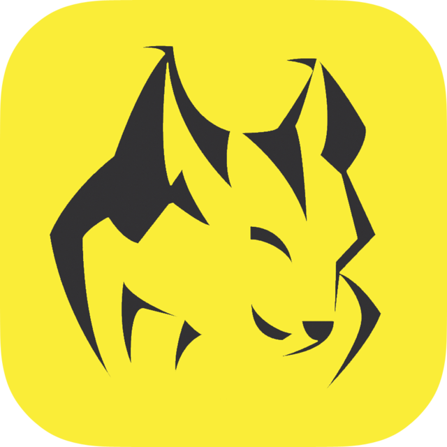 "SummitLynx" nennt sich die App, mit der man Gipfelerfolge aufgezeichnen kann. | Foto: SummitLynx
