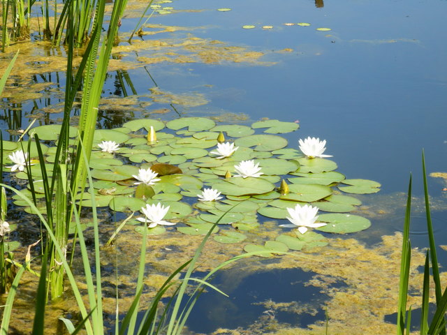 ... mit der Seele baumeln ....