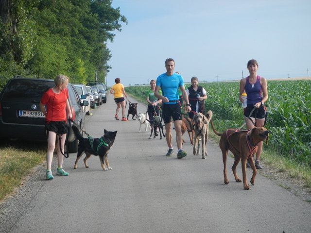 Beginn des Canicross Trainings © SpeedRunners.at