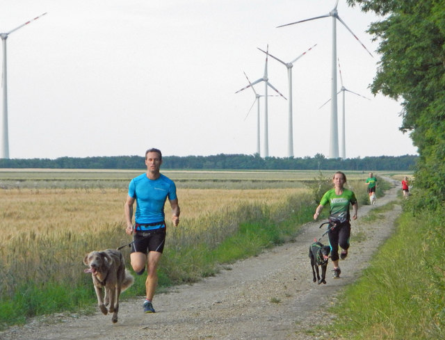 Speedrunners Wien Markus mit Finn und dahinter Sabine mit Tula © SpeedRunners.at