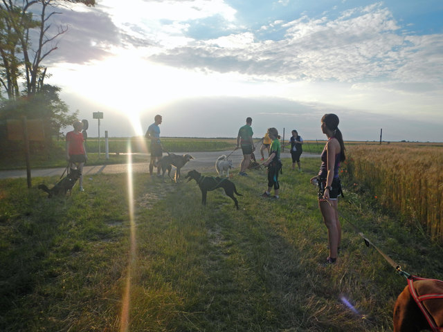 kurze Trainings Einweisung © SpeedRunners.at