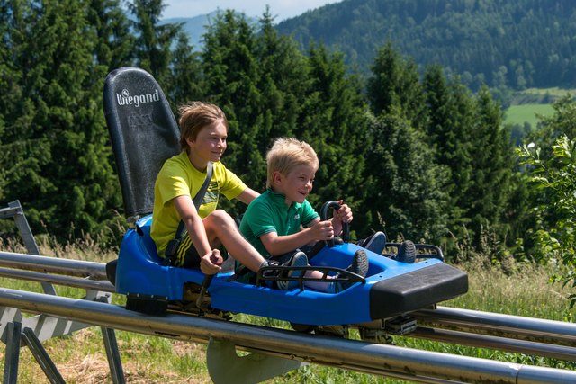 Eine Gratisfahrt mit dem Alpine Coaster am Wurbauerkogel Windischgarsten winkt! | Foto: HIWU/Haijes