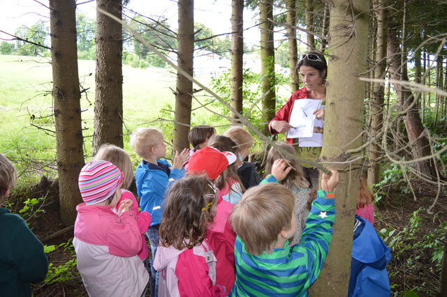 Foto: Kindergarten Pressbaum II