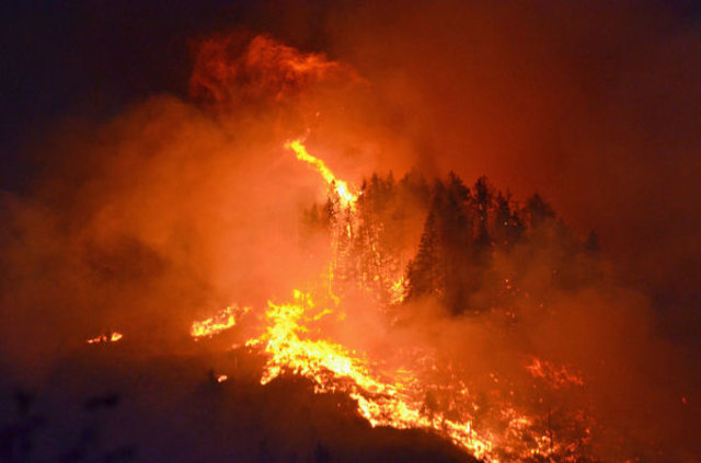 Da die Waldbrandgefahr akut steigt, ist ab sofort jedes Feuer im Wald verboten.