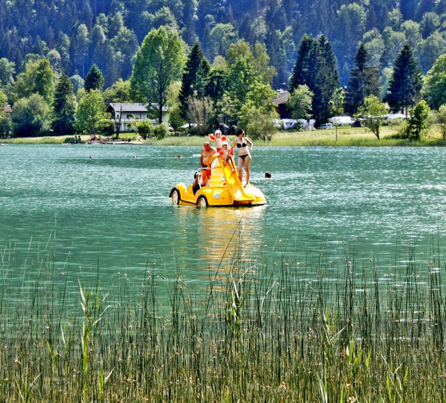 Abkühlung in Thiersee