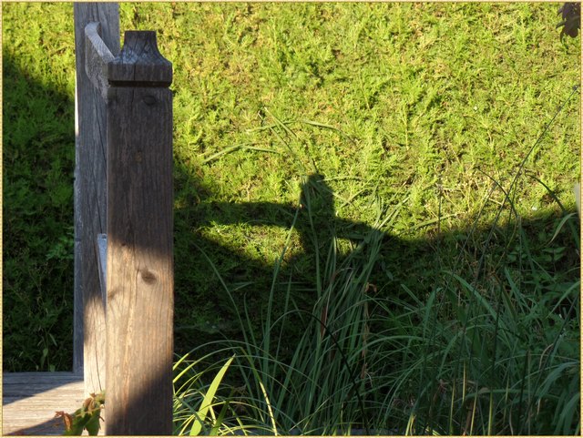 In der Abendsonne wirft die kleine Brücke Schatten.